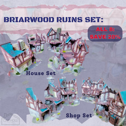 Briarwood Shop Ruins 2 RPG Terrain: Battle Damaged Shop for Dungeons and Dragons and 28mm Wargames - Dark Realms Series