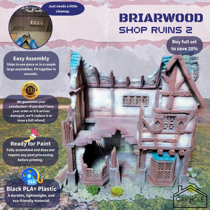 Briarwood Shop Ruins 2 RPG Terrain: Battle Damaged Shop for Dungeons and Dragons and 28mm Wargames - Dark Realms Series